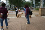 DSC04640