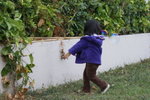 DSC04912