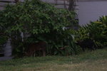 DSC05028