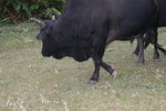 DSC05045