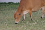 DSC05046
