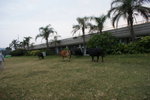 DSC05047