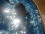 CIMG0257