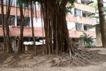 PICT0016