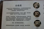 DSC01115