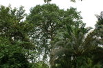 DSC01125