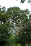 DSC01126
