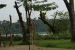 DSC01156