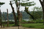 DSC01157