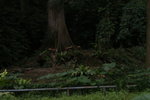 DSC01165