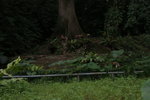 DSC01166