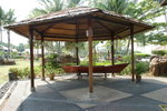 DSC01371