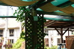 DSC01379