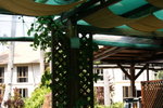 DSC01380