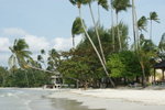 DSC01488