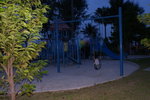 DSC01551