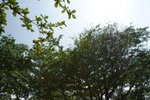 DSC01910
