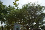 DSC01911