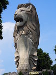P4240567