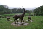 PICT0071