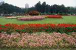 PICT0154