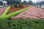 PICT0158