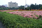 PICT0161