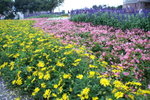 PICT0237