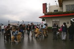 PICT0258