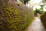 PICT0302