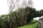PICT0315