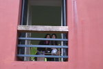PICT0346