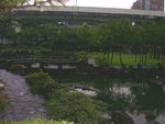 PICT5030