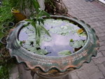 PICT0920