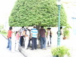 PICT0958