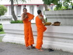 PICT1137