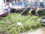 PICT1185