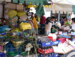PICT1373