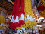 PICT1386