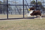 jeannie playing ball