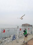 20170416_170850