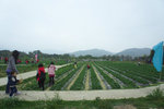 DSC02117