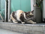 28-Feb-09 Neighbourhood