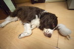 6-6-2009 home