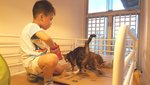 20160602_190449