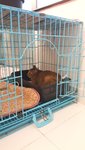 20160602_190555