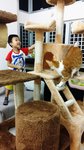 20150604_193605