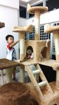 20150604_193631