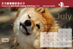 july