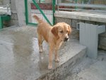 04_0221_18_zoe
